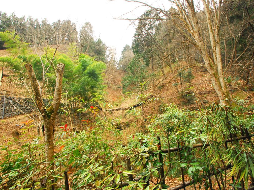 Yanagiya Hotel Chichibu Buitenkant foto